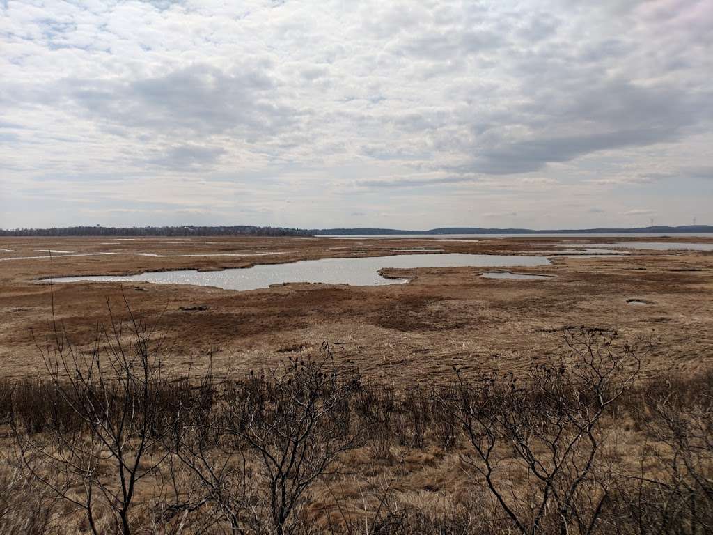 Pines Trail | Parker River National Wildlife Refuge, Rowley, MA 01969, USA | Phone: (978) 465-5753