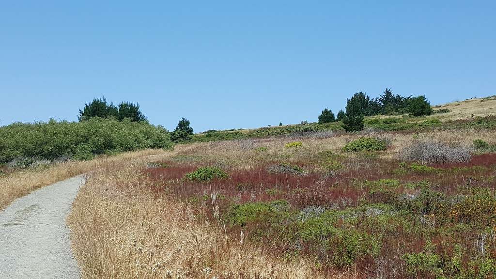 Crocker Gate Trail Head | Old Guadalupe Trail, Daly City, CA 94014, USA