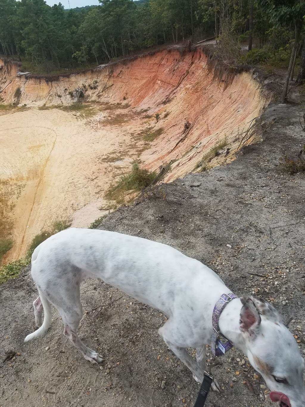 Quarry by Blueberry Hill Trail | Gibbsboro, NJ 08026