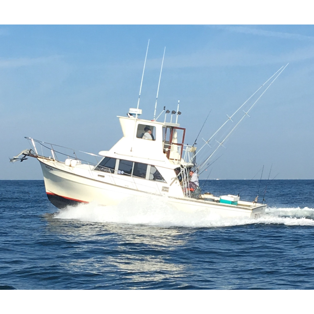 Bingo Fishing Charters | 11 Hudson Ave, Freeport, NY 11520, USA | Phone: (631) 495-1786