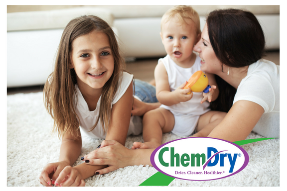 Chem-Dry of Bloomington | 1682 E Whisnand Rd, Bloomington, IN 47408 | Phone: (812) 287-9886