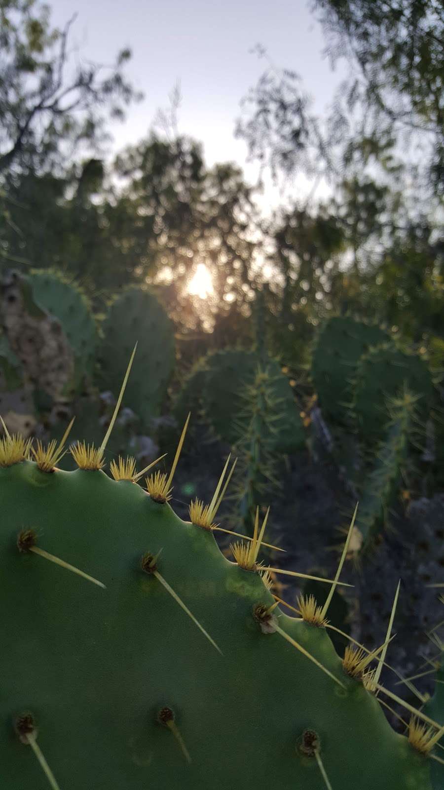 Mission Trails parking lot near campground | Bushy Hill Dr, Santee, CA 92071, USA