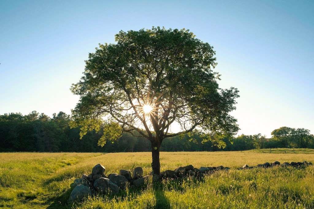 John Little Conservation Area | Union St, Marshfield, MA 02050, USA