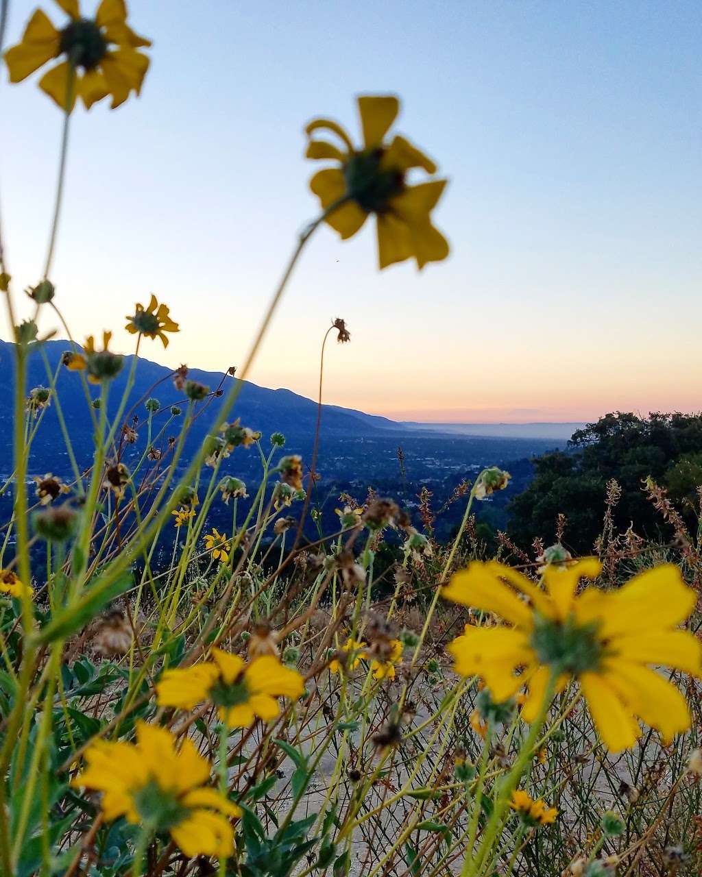 Cherry creek park | 4171 Cherry Canyon Motorway, La Cañada Flintridge, CA 91011, USA