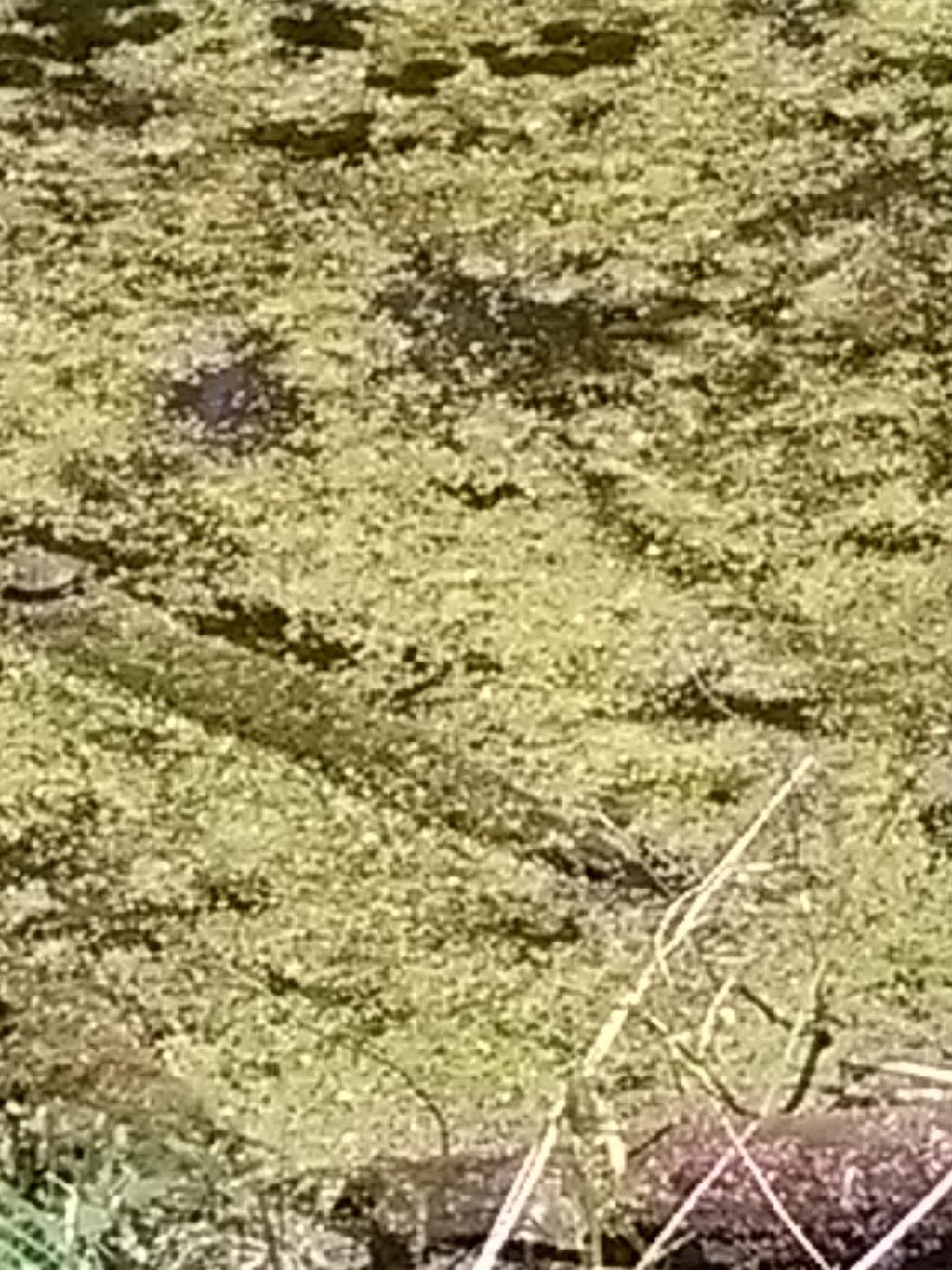 Robinson Park | 1202 Egret Blvd NW, Coon Rapids, MN 55433, USA | Phone: (763) 755-2880