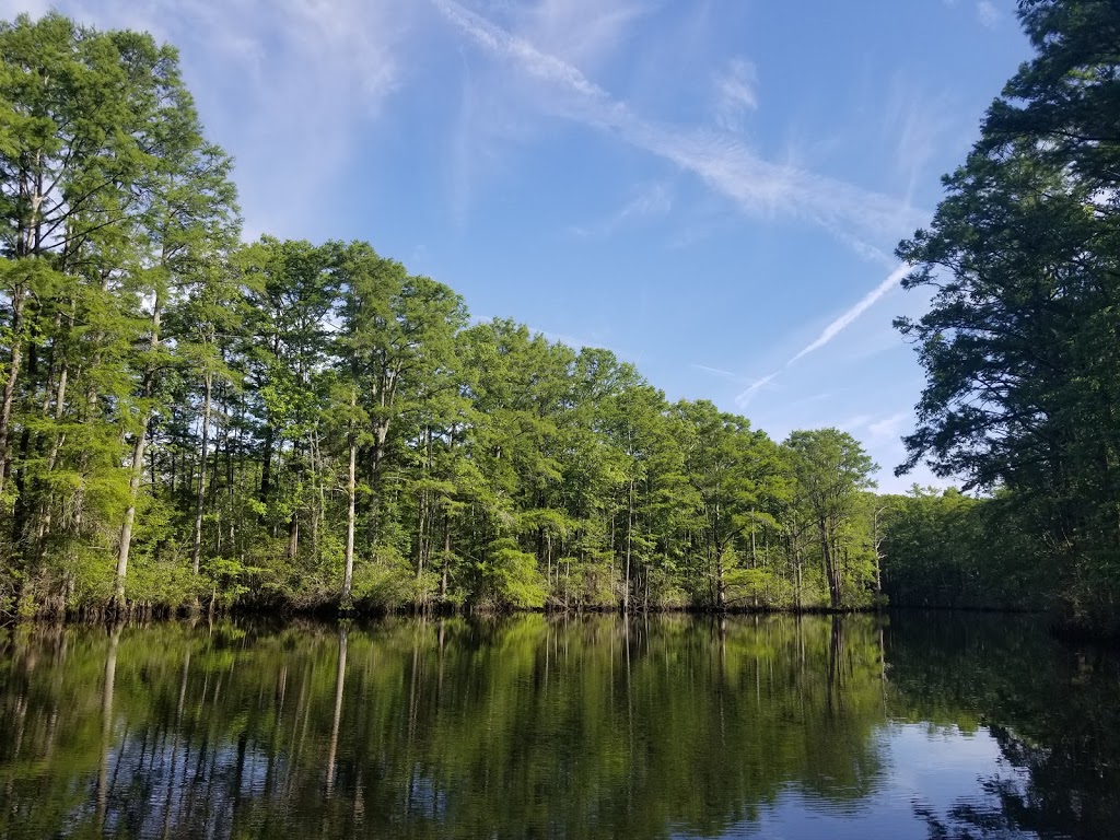 Northwest River Natural Area Preserve | VA-168, Chesapeake, VA 23322, USA | Phone: (757) 925-2318