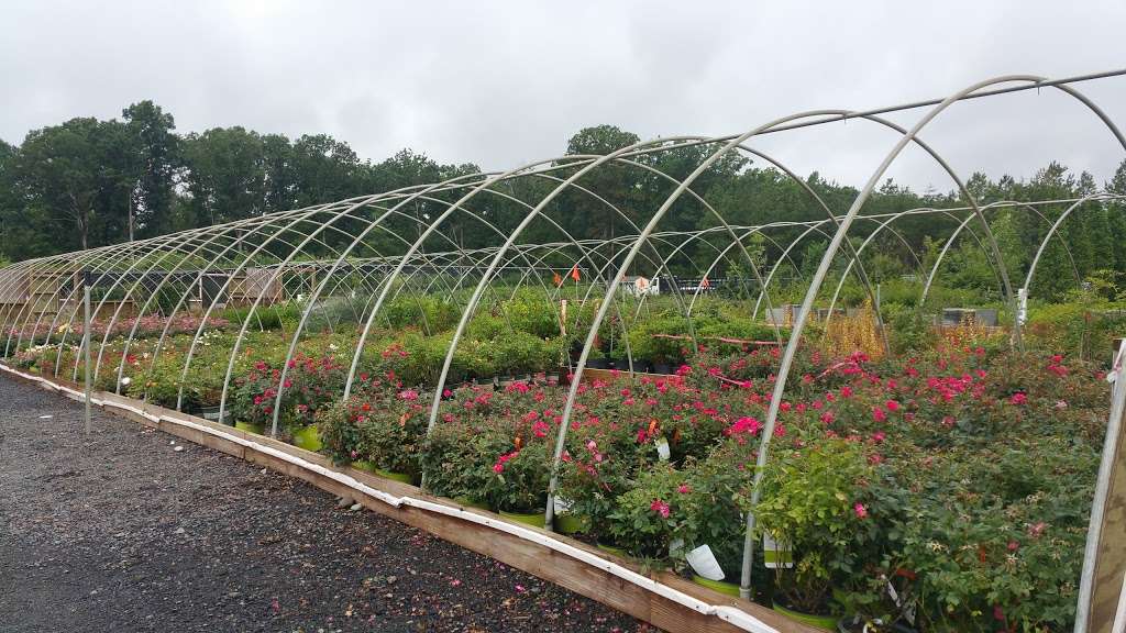 South Riding Nurseries | 8010, Industrial Park Court, Bristow, VA 20136 | Phone: (703) 479-2701