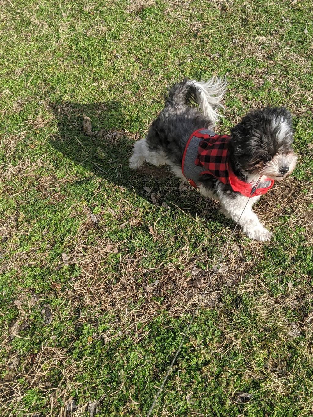 Green Hills Park | 1200 Lone Oak Rd, Nashville, TN 37215, USA | Phone: (615) 862-8400