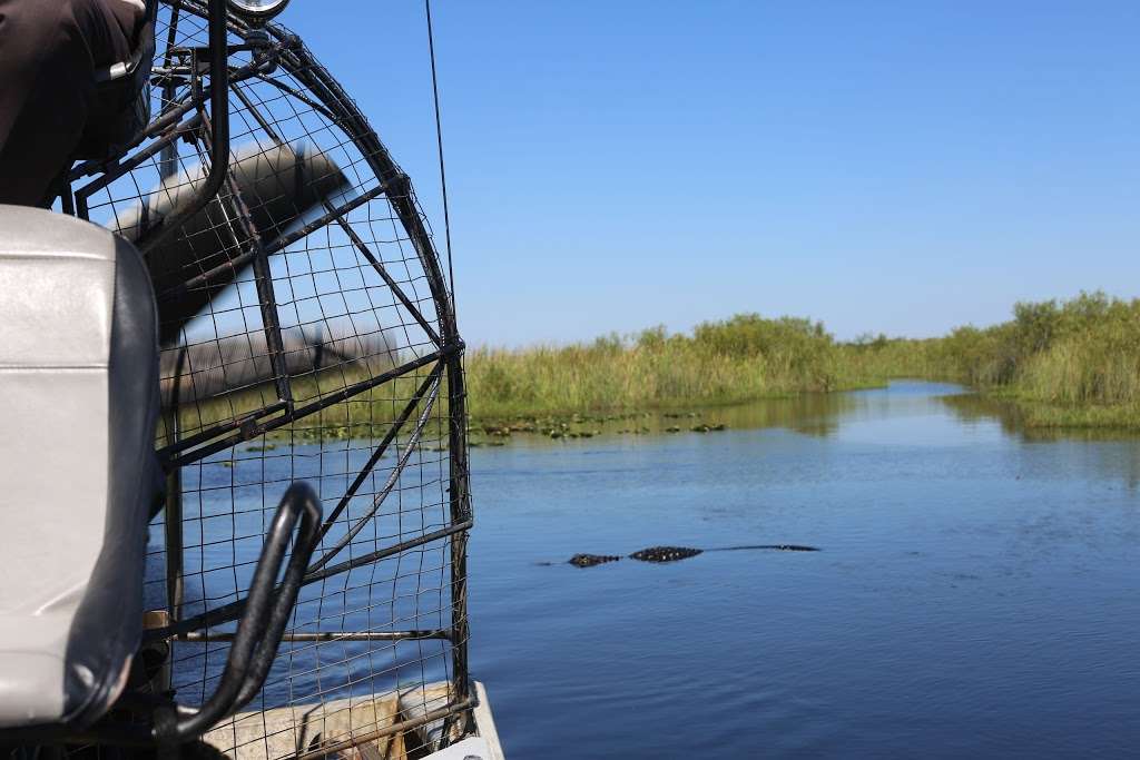 Airboat Rides Miami | 24050 SW 8th St, Miami, FL 33194, USA | Phone: (305) 559-2255