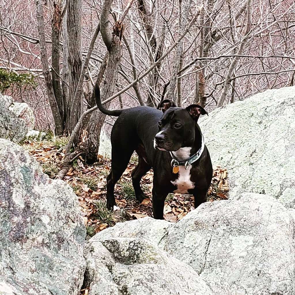 Bake Oven Knob Parking | 7705 Bake Oven Rd, Germansville, PA 18053, USA