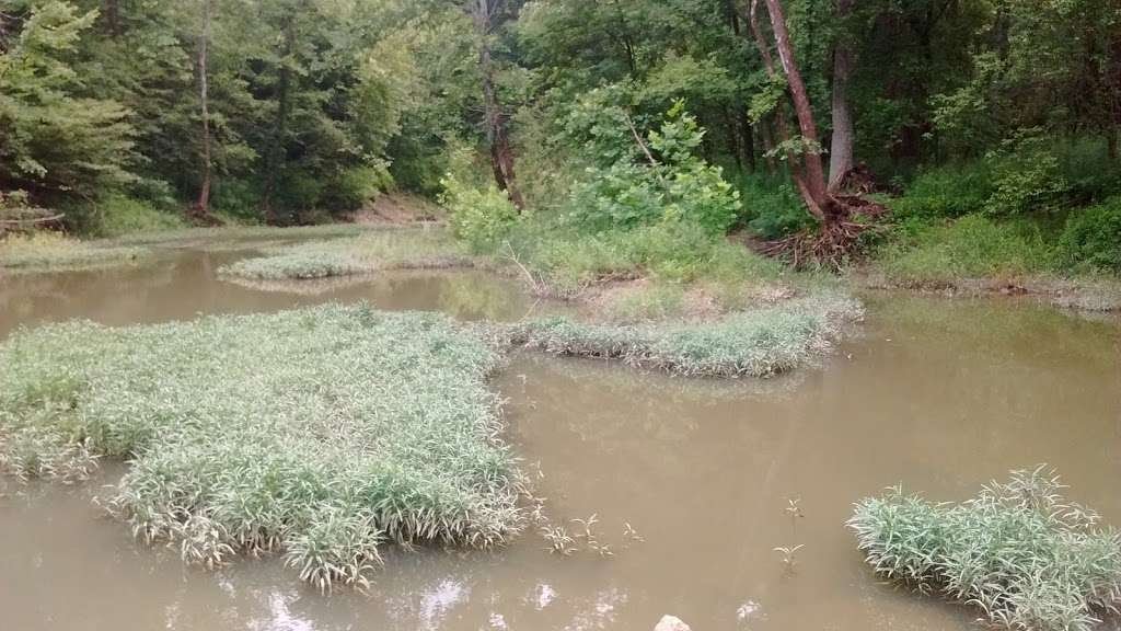 Trevlac Bluffs Nature Preserve | IN-45, Nashville, IN 47448, USA | Phone: (812) 336-5382