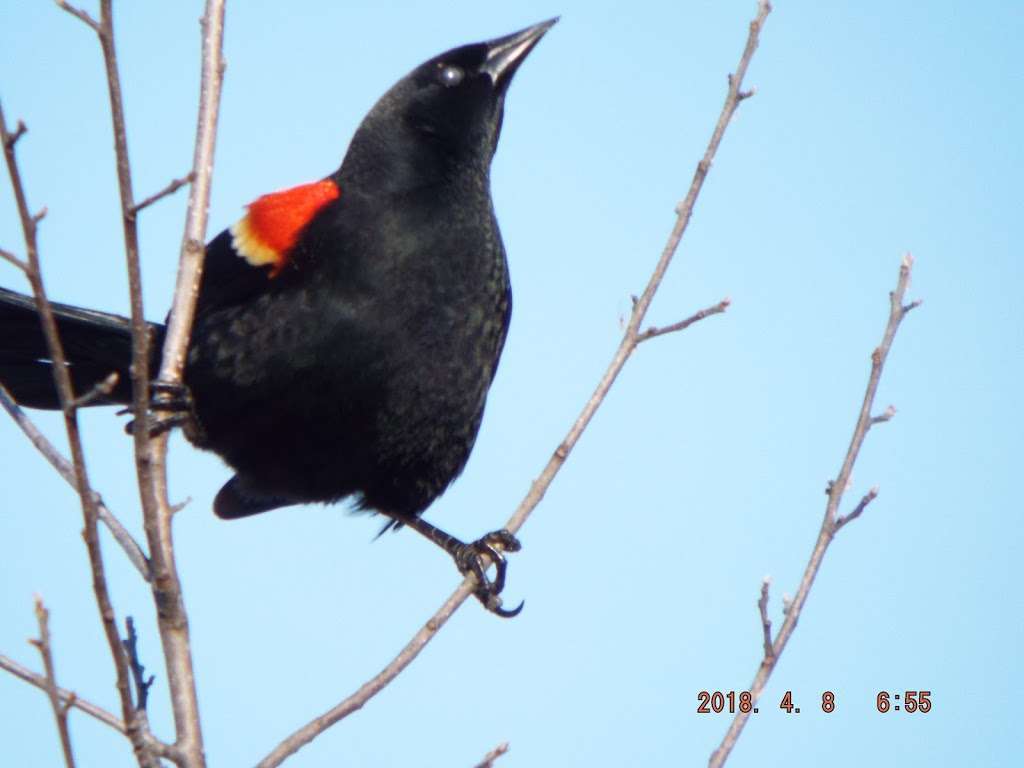 John Merle Coulter Nature Preserve | Portage, IN 46368 | Phone: (219) 242-8558