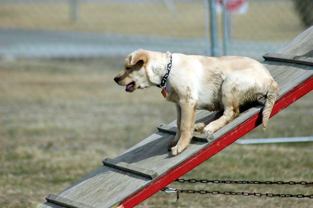 Hanover Dog Park | 12401-12829 Taylor Complex Ln, Ashland, VA 23005, USA