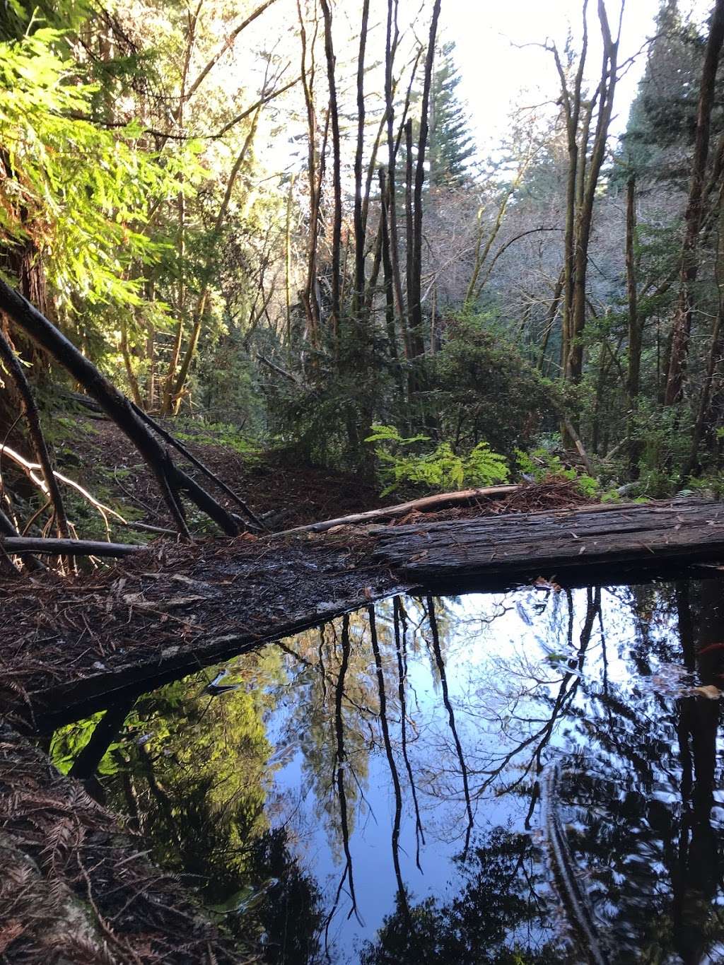 Fall Creek Unit Trailhead | Felton Empire Rd, Felton, CA 95018, USA