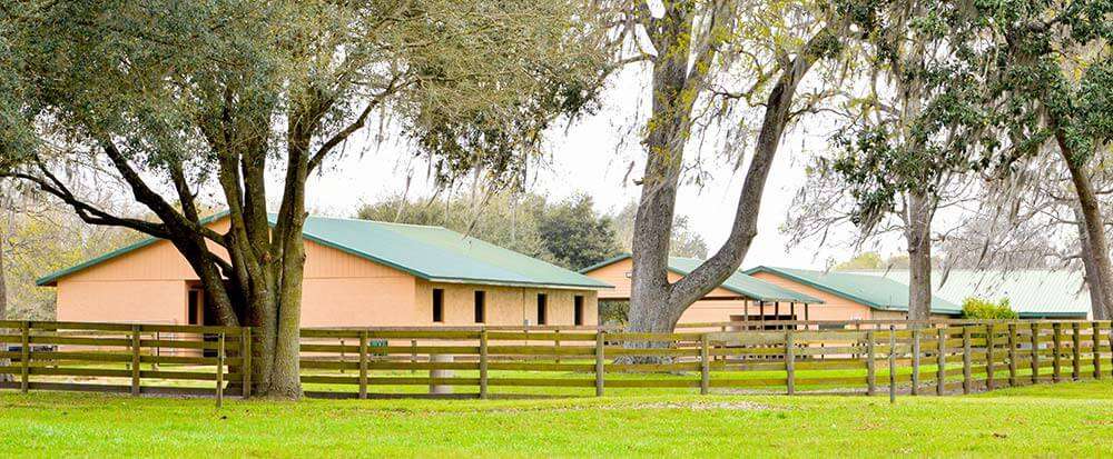 Peterson & Smith Equine Reproduction Center | 15111 SE 47th Ave, Summerfield, FL 34491, USA | Phone: (352) 307-3000