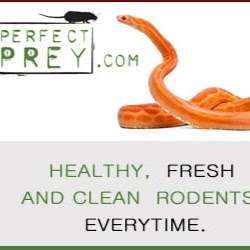 PerfectPrey.com | 44th St N, Loxahatchee, FL 33470, USA | Phone: (561) 557-8486