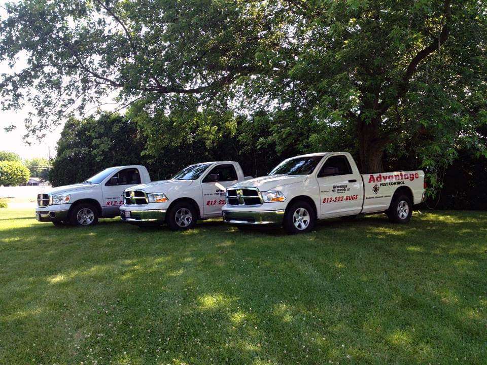 Advantage Pest Control LLC | 295 S Co Rd 450 W, Greensburg, IN 47240, USA | Phone: (812) 222-2847