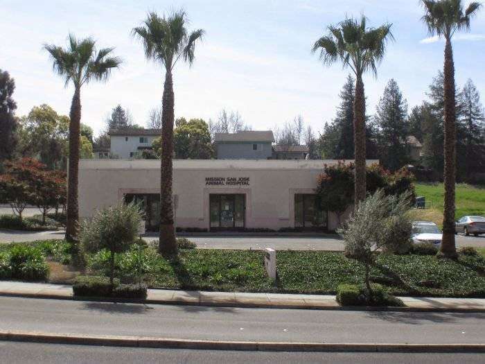 VCA Mission San Jose Animal Hospital | 1500 Washington Blvd, Fremont, CA 94539, USA | Phone: (510) 651-0100