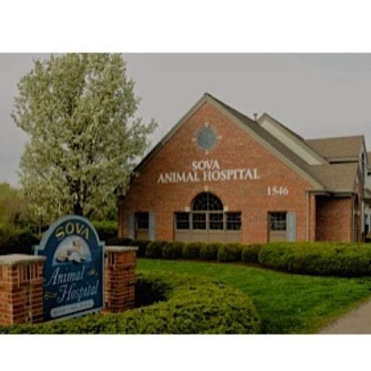 Sova Animal Hospital | 1546 NJ-23, Butler, NJ 07405, USA | Phone: (973) 838-5528