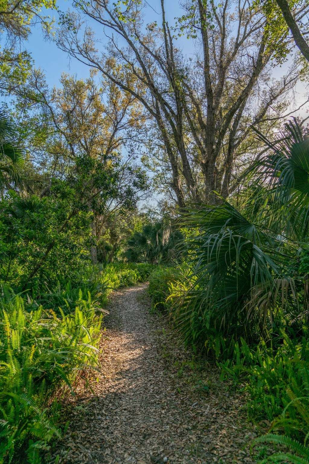 Hammock Trails -Oak Hammock , Palm Hammock | Florida