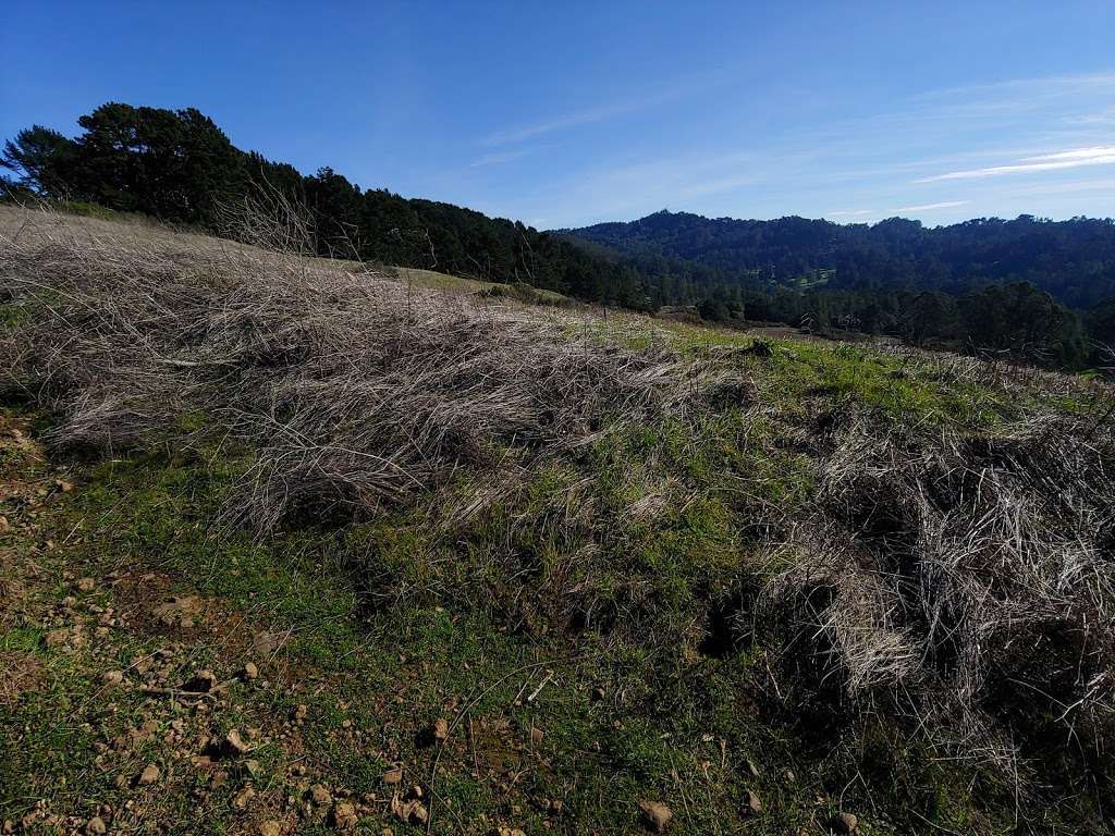 Big springs trailhead | S Park Dr, Orinda, CA 94563