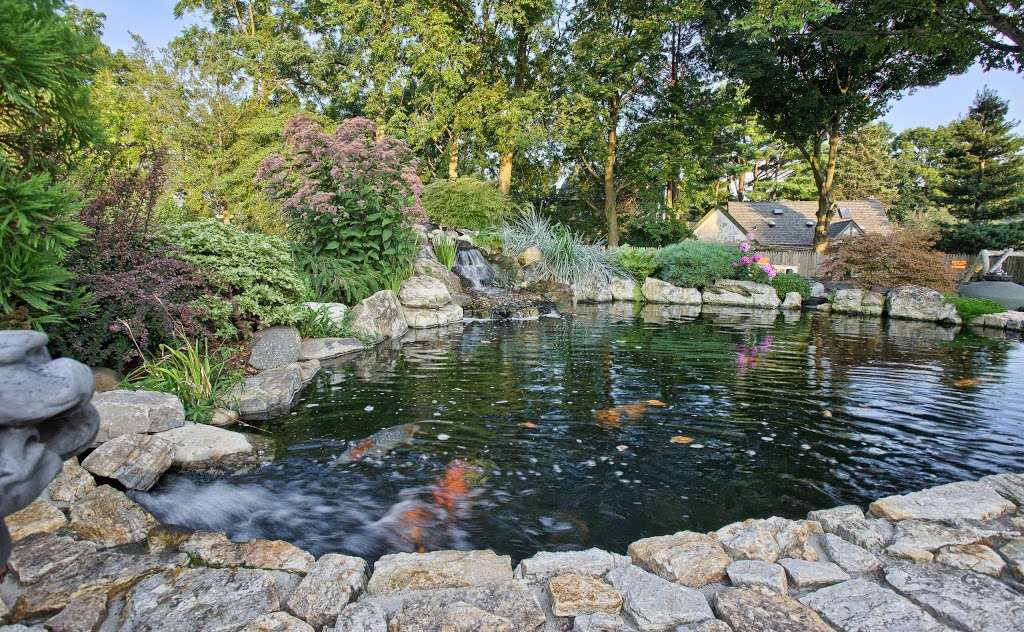 Koi Market Aquatic Gardens | 475 Main St, Huntington, NY 11743, USA | Phone: (516) 809-6771