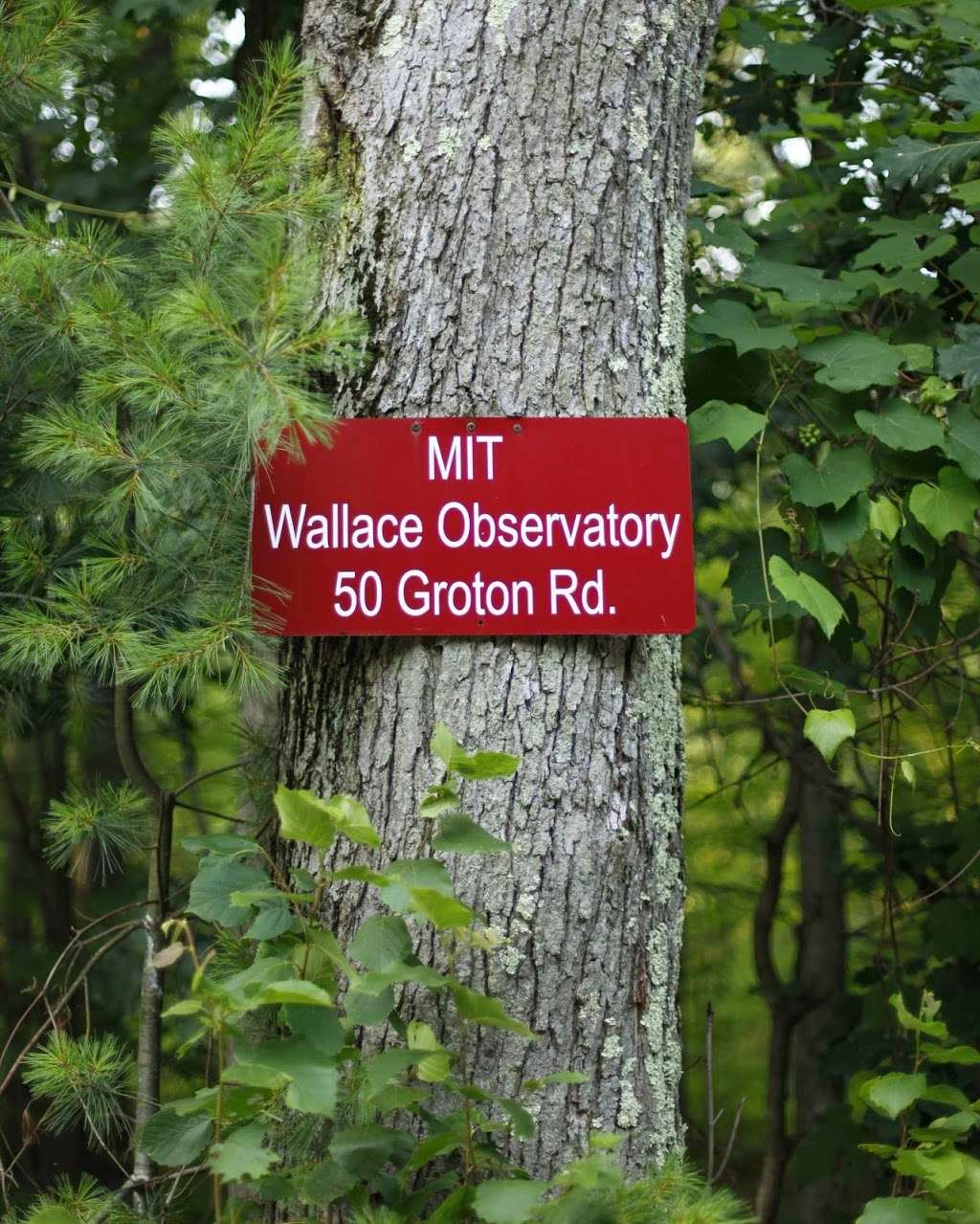 MIT Wallace Astrophysical Observatory | 50 Groton Rd, Westford, MA 01886, USA | Phone: (617) 324-4744