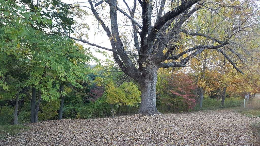 Natural Lands Binky Lee Preserve | 1445 Pikeland Rd, Chester Springs, PA 19425 | Phone: (610) 353-5587