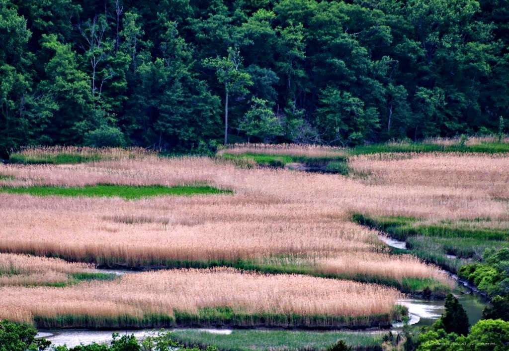 Iona Island | Tomkins Cove, NY 10986, USA