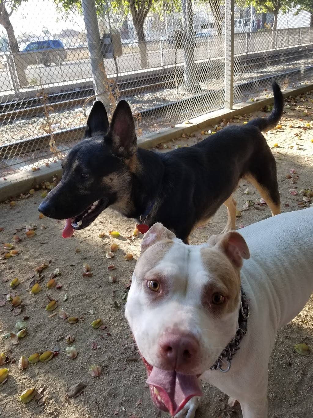 Discovery Dog Park | 410 Park Ave, San Jose, CA 95110, USA | Phone: (408) 535-3570