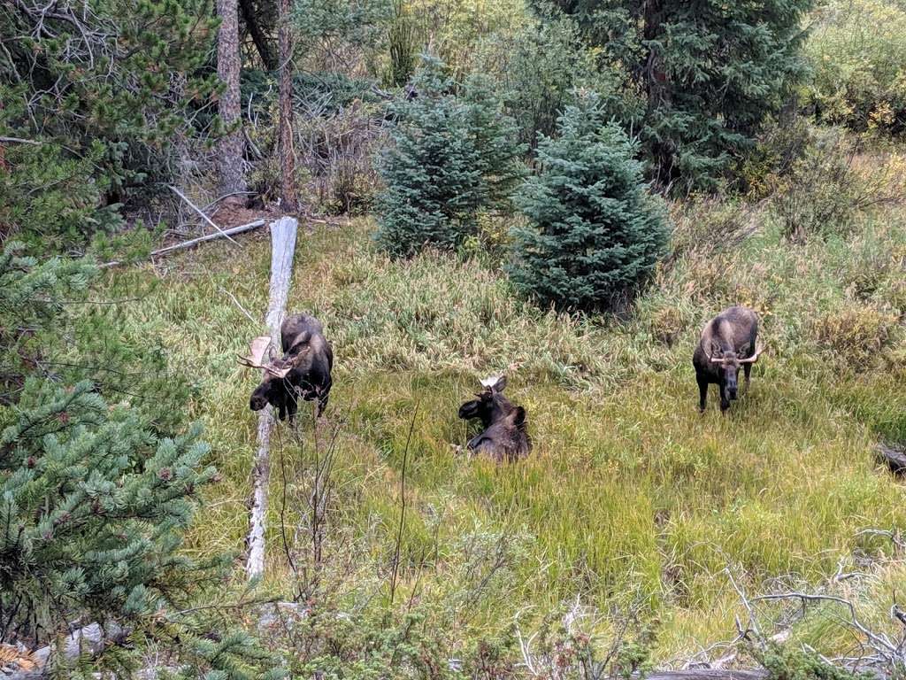 Monarch Lake Trailhead | Continental Divide Trail, Granby, CO 80446, USA | Phone: (970) 887-4100