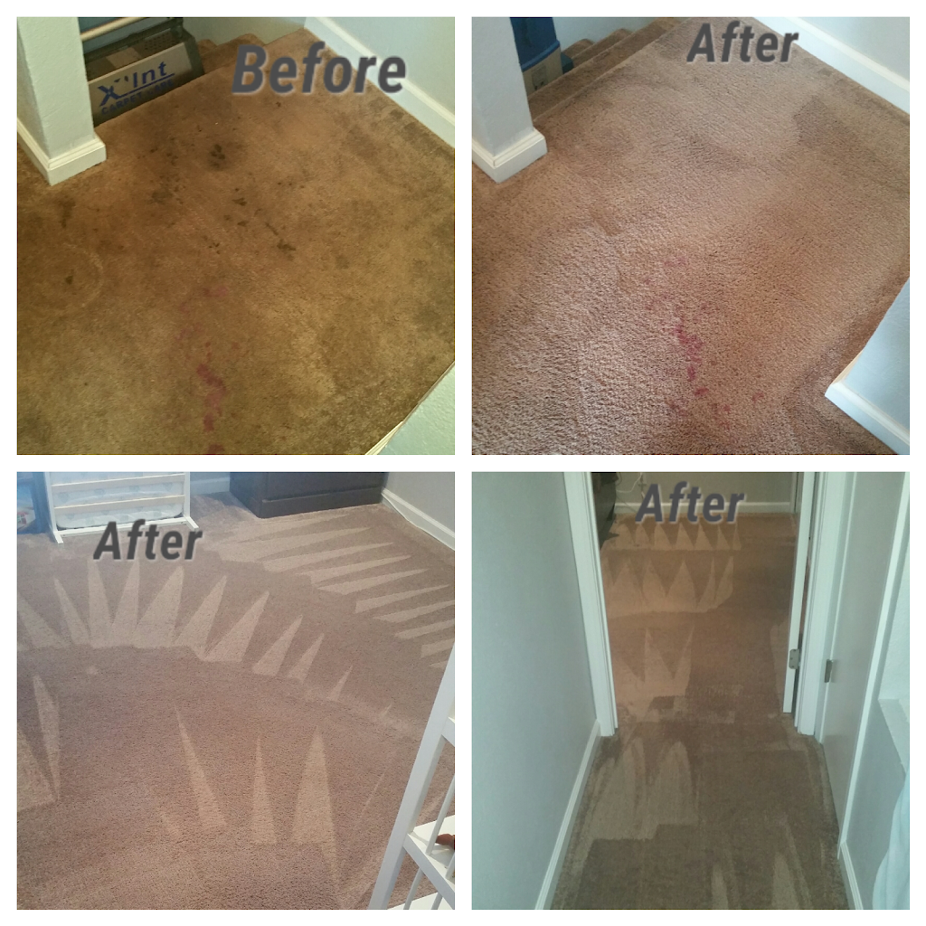 Xllnt Carpet Care | 174 W Lincoln Ave #528, Anaheim, CA 92805, USA | Phone: (714) 213-5035