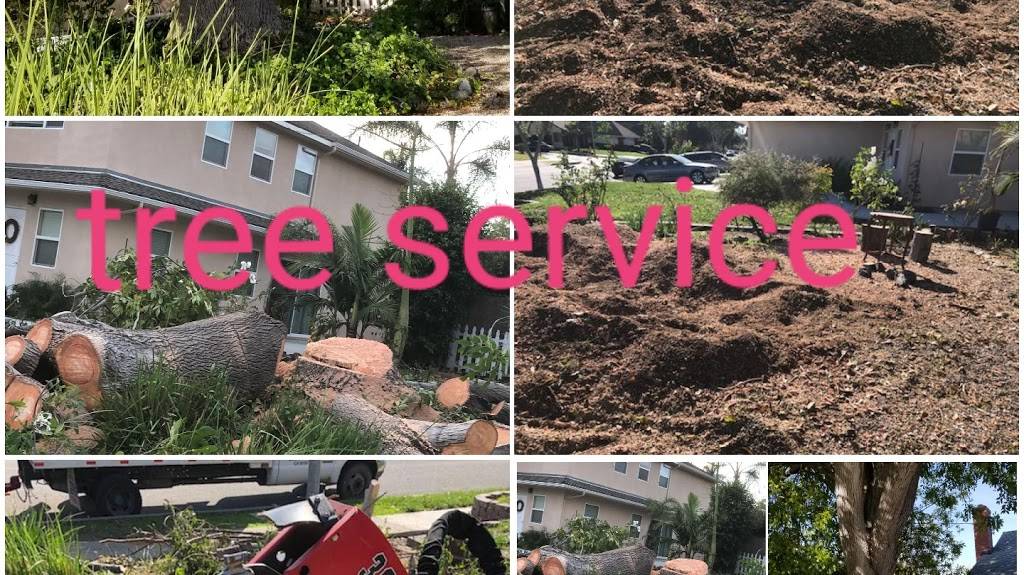Sanchez gardening servise and Landscape | 2328 W Greenacre Ave, Anaheim, CA 92801, USA | Phone: (714) 783-8457