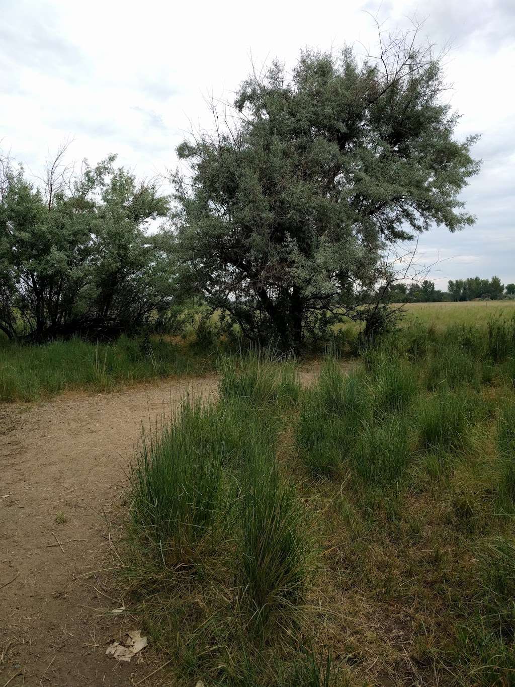 South Teller Farm Trailhead | White Rocks Trail, Boulder, CO 80301, USA