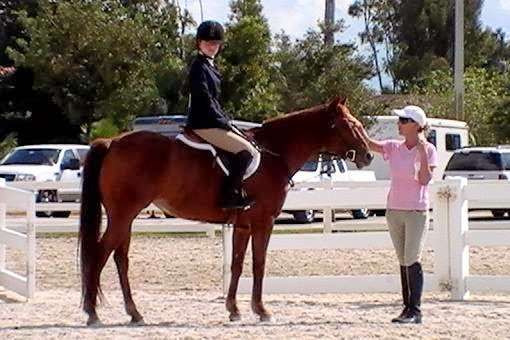 Acts2Acres Equestrian Center | 4000 NW 43rd St, Coconut Creek, FL 33073 | Phone: (954) 326-2528