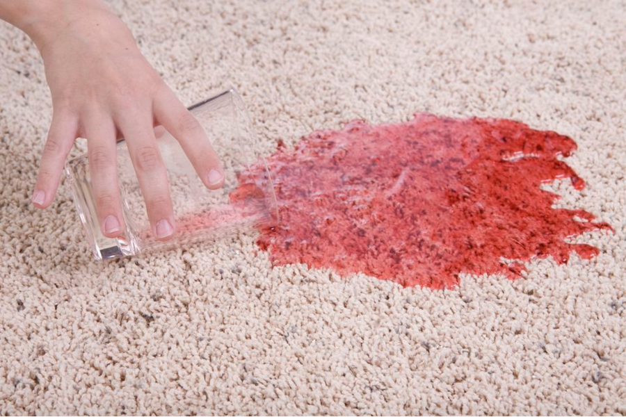 Five Star Chem-Dry Upholstery & Carpet Cleaning | 19218 Filbert Rd, Bothell, WA 98012 | Phone: (425) 354-3394