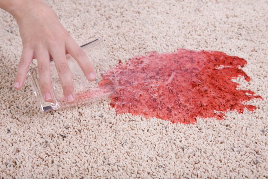 Five Star Chem-Dry Upholstery & Carpet Cleaning | 19218 Filbert Rd, Bothell, WA 98012, USA | Phone: (425) 354-3394