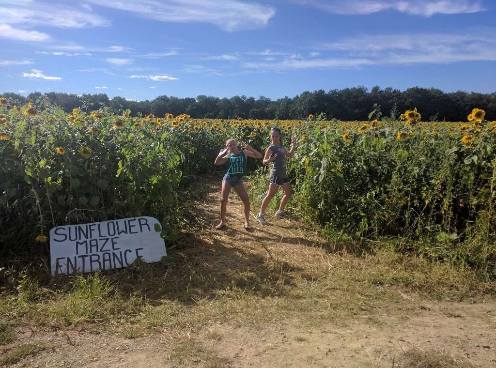 Blackburn Growers & Garden Center | 46 US-206, Branchville, NJ 07826, USA | Phone: (973) 948-3700