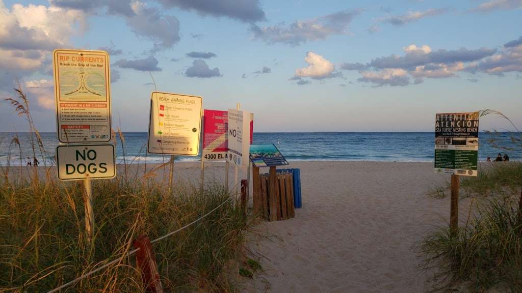 Turtle Nesting Area And Scuba Diving Zone | Lauderdale-By-The-Sea, FL 33308