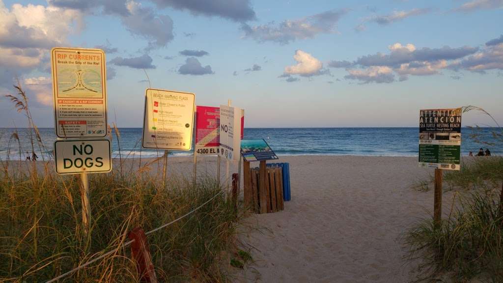 Turtle Nesting Area And Scuba Diving Zone | Lauderdale-By-The-Sea, FL 33308, USA