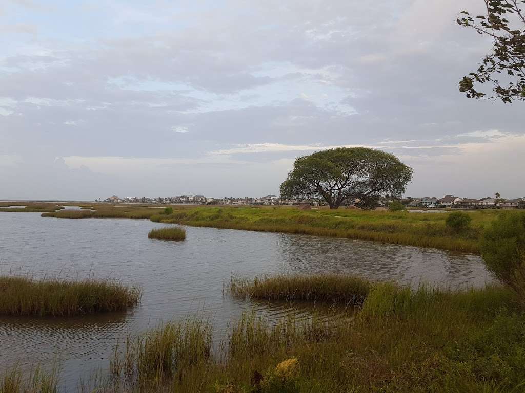 John M. OQuinn Nature Preserve | 2441 Hwy 6, Hitchcock, TX 77563