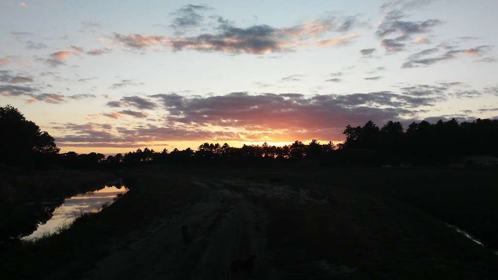 Cranberry Bogs | Carver, MA 02330, USA