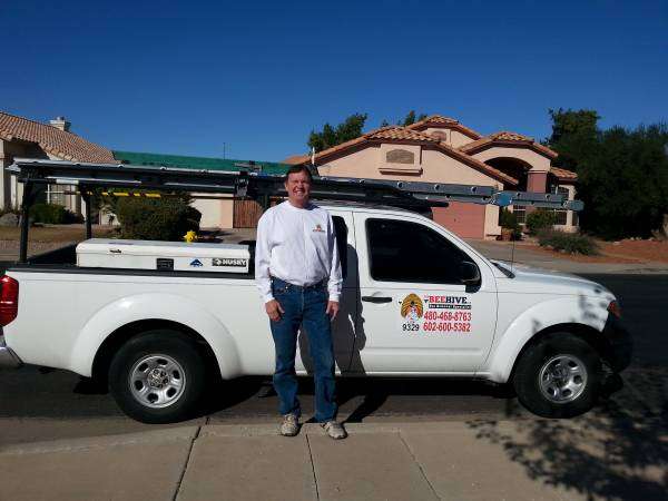 The Beehive Bee and Wasp removal | 543 E Jasper Dr, Chandler, AZ 85225, USA | Phone: (602) 600-5382