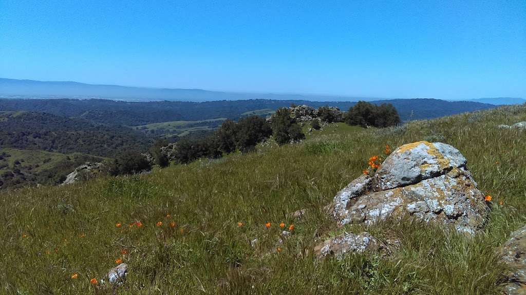 Las Trampas Ridge Trail | Las Trampas Ridge Trail, Moraga, CA 94556, USA | Phone: (888) 327-2757