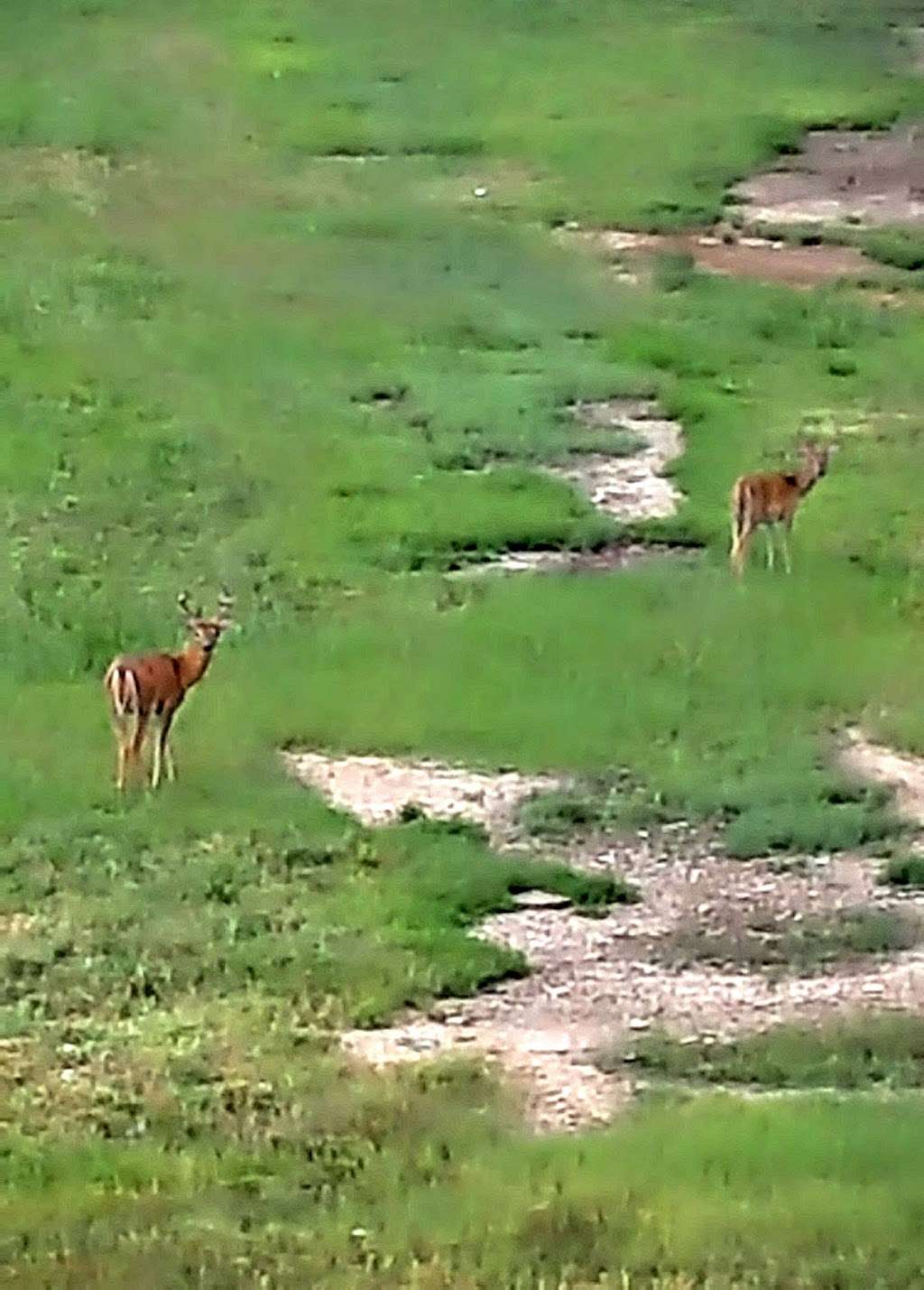 Missouri Riverfront Trail | Missouri Riverfront Trail, Riverside, MO 64150