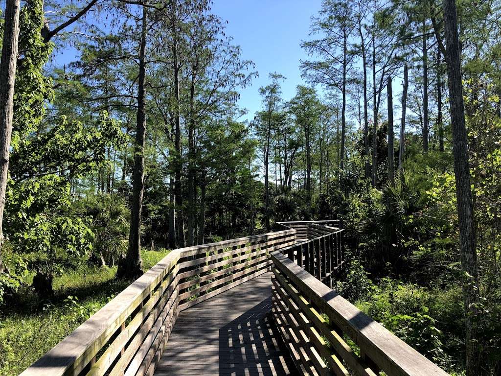 North Jupiter Flatwoods Natural Area | Misty Lake Pl, Jupiter, FL 33458, USA