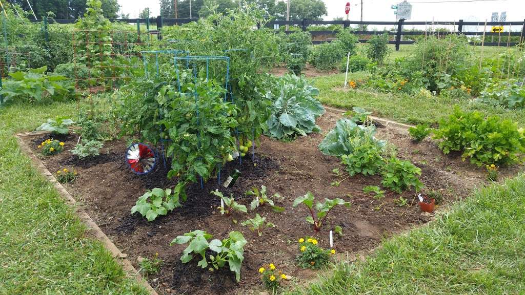 Stone Barn Community Garden | 3851 Park Mills Rd, Frederick, MD 21704 | Phone: (301) 788-2784