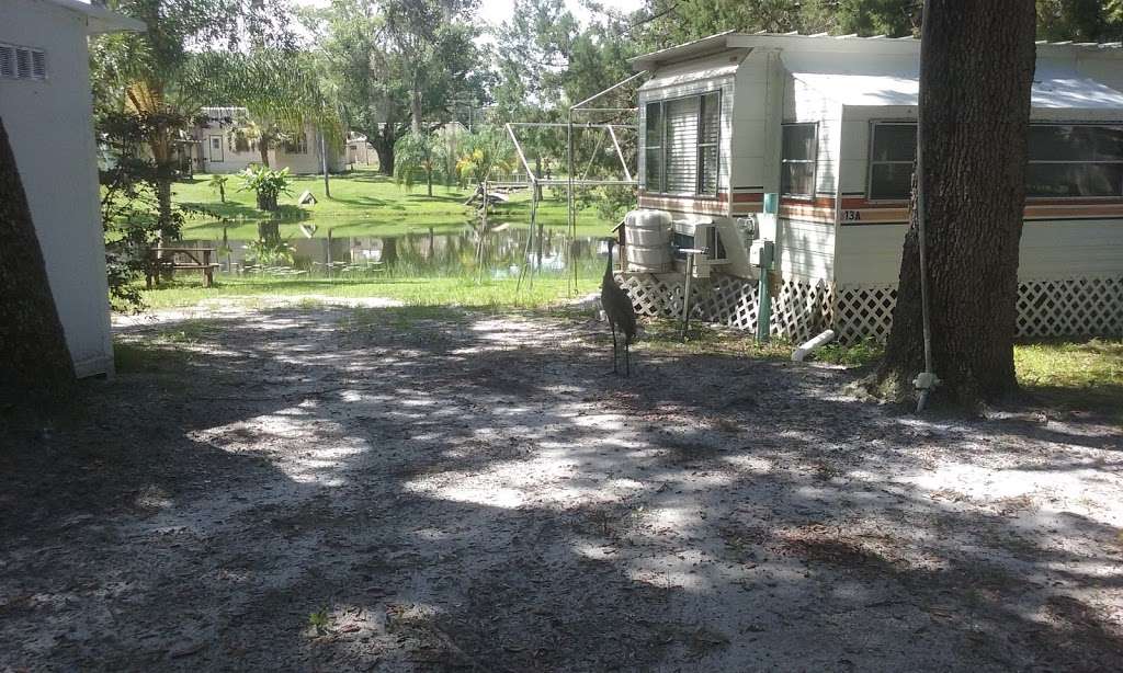 Wild Woods Campground | 22113 FL-40, Astor, FL 32102, USA | Phone: (352) 759-3538