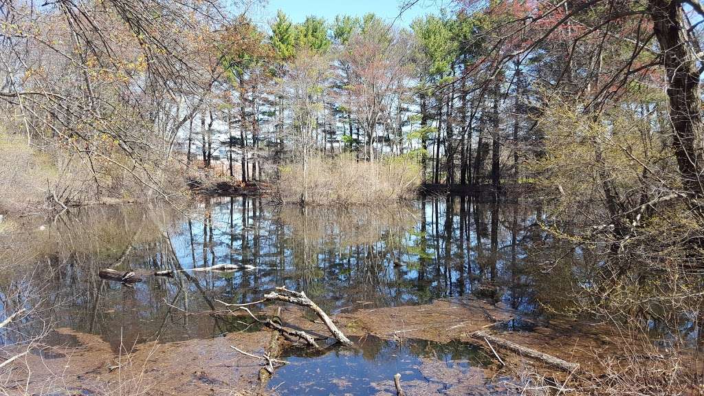 Mass Audubons Habitat Education Center and Wildlife Sanctuary | 10 Juniper Rd, Belmont, MA 02478, USA | Phone: (617) 489-5050