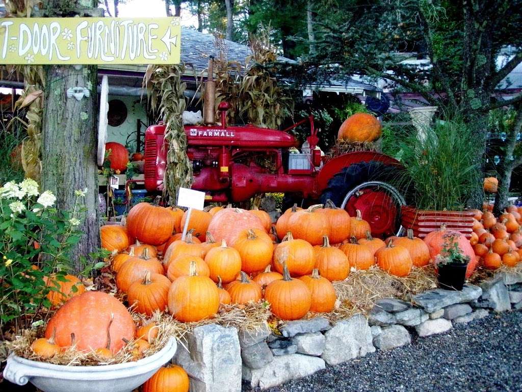 Whispering Pine Garden Center & Florist | 1 Windsor Rd, Yorktown Heights, NY 10598, USA | Phone: (914) 248-7444